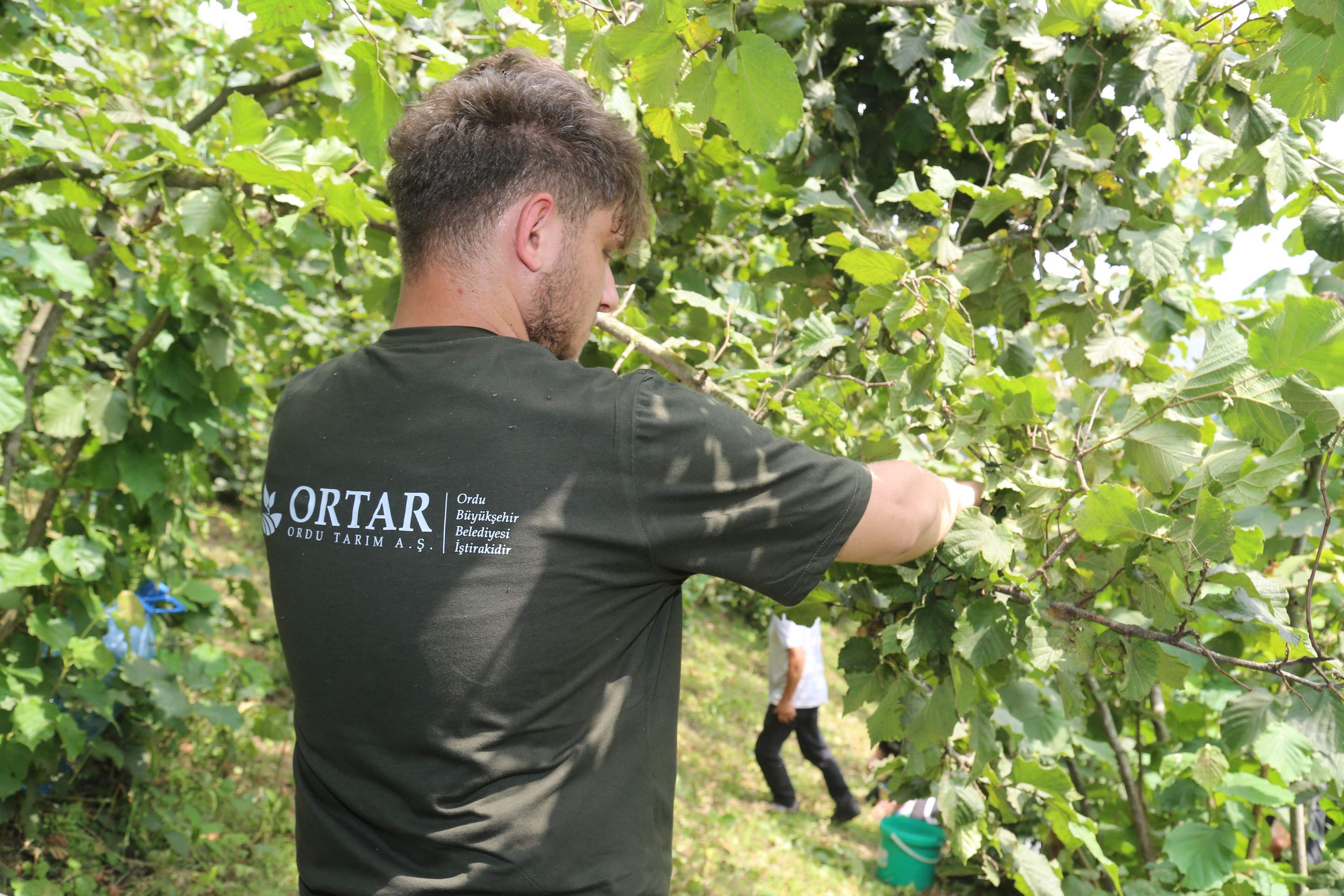 FINVER PROJESİ’NDE HASAT ZAMANI